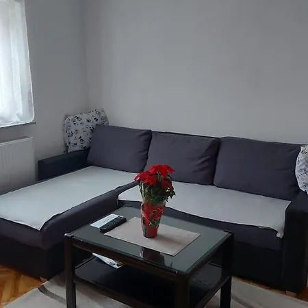 Apartament Andric
