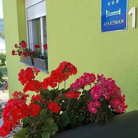 Apartment Andric *