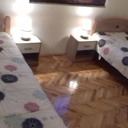 Andric Apartment *
