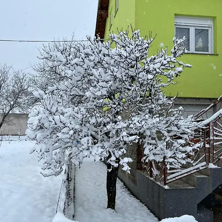 Andric Апартаменты *