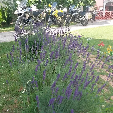 Apartmán Andric