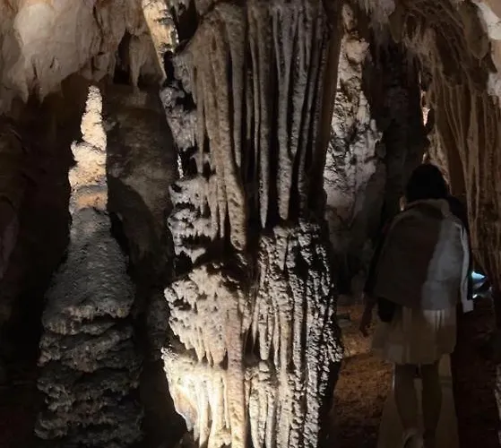 Διαμέρισμα Andric *