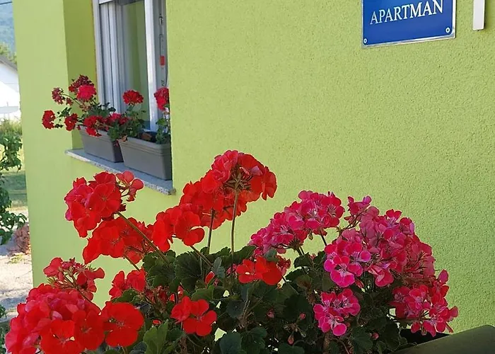 Διαμέρισμα Andric *