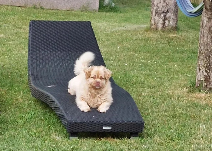 Andric Διαμέρισμα *