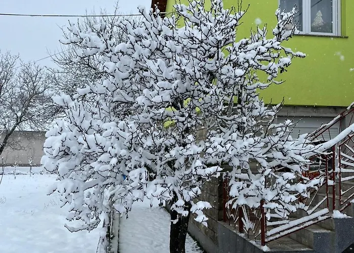 Andric Апартаменты *